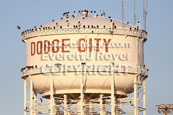 Great Bend vs Dodge City  Football