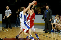 1AD2 Boys Third Place Game - Beloit St. John's Tipton vs Logan