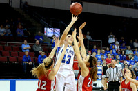 #2 Beloit-St. Johns/Tipton v #7 Wetmore - Girls First Round Game