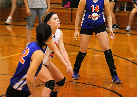 Otis Bison vs. Central Plaines Volleyball Photo
