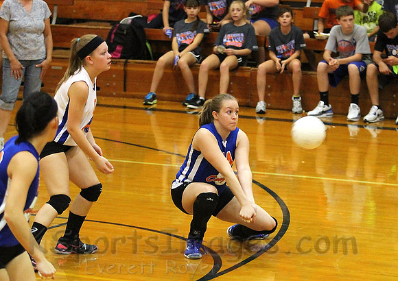 Otis Bison vs. Central Plaines Volleyball Photo