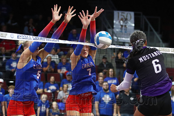 Ellinwood defeated Valley Heights to finish the season with a perfect 47-0 record and win 1st  state volleyball championship in school history
