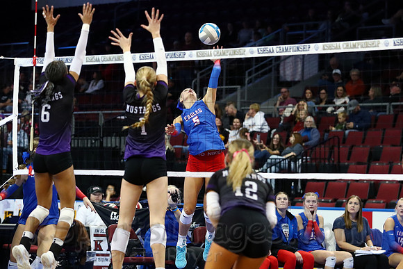 Ellinwood defeated Valley Heights to finish the season with a perfect 47-0 record and win 1st  state volleyball championship in school history