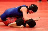 2019 Kansas Girls Wrestling Championship