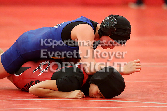 2019 Kansas Girls Wrestling Championship