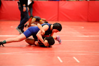 2019 Kansas Girls Wrestling Championship