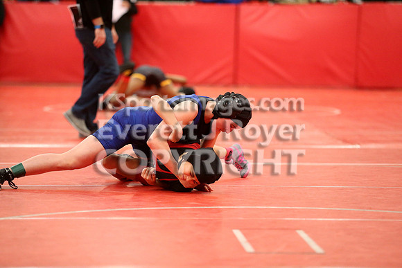2019 Kansas Girls Wrestling Championship