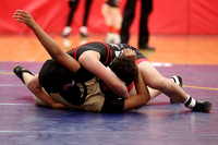 2019 Kansas Girls Wrestling Championship