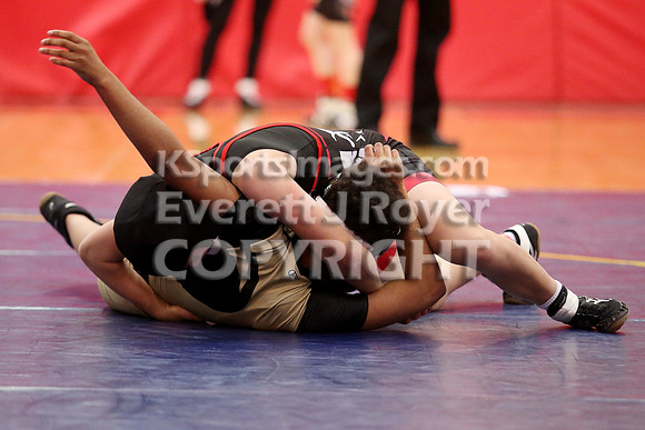 2019 Kansas Girls Wrestling Championship