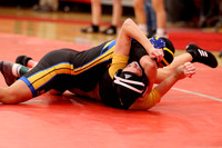 2019 Kansas Girls Wrestling Championship