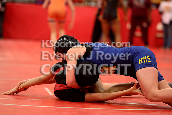2019 Kansas Girls Wrestling Championship