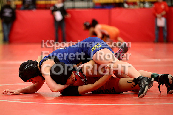 2019 Kansas Girls Wrestling Championship