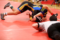 2019 Kansas Girls Wrestling Championship