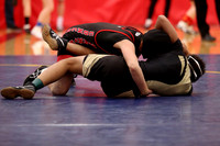 2019 Kansas Girls Wrestling Championship