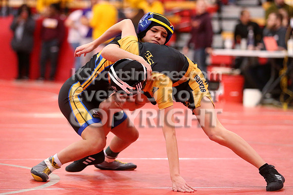 2019 Kansas Girls Wrestling Championship