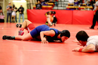 2019 Kansas Girls Wrestling Championship