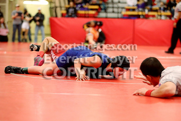 2019 Kansas Girls Wrestling Championship