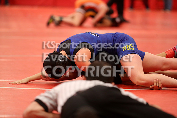 2019 Kansas Girls Wrestling Championship