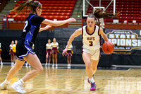Hays vs Kapaun Mt. Carmel 5A State Basketball Tournament