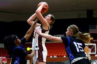 Hays vs Kapaun Mt. Carmel 5A State Basketball Tournament