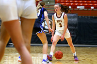 Hays vs Kapaun Mt. Carmel 5A State Basketball Tournament