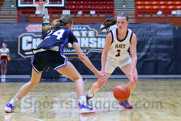 Hays vs Kapaun Mt. Carmel 5A State Basketball Tournament