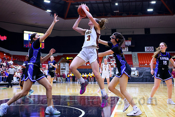 Hays vs Kapaun Mt. Carmel 5A State Basketball Tournament