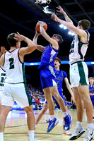 Beloit-St. John/Tipton 1AD1 State Basketball Tournament