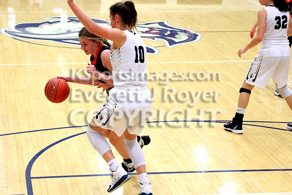 TMP-Marian  vs Ellis Girls Basketball