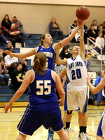 Thunder Ridge Longhorns vs. St. Johns Beloit-Tipton Blujays Girls Basketball - NPL Tourney Finals