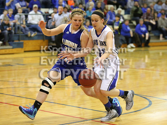 Thunder Ridge Longhorns vs. St. Johns Beloit-Tipton Blujays Girls Basketball - NPL Tourney Finals