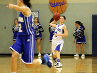 Thunder Ridge Longhorns vs. St. Johns Beloit-Tipton Blujays Girls Basketball - NPL Tourney Finals