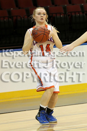 Otis-Bison girls defeated Golden Plains 2017 in the Third Place game, KSHSAA 1AD2 State Championship at United Wireless Arena in Dodge City on Saturday, March 11, 2017. (Photo: Everett Royer, www.kspo