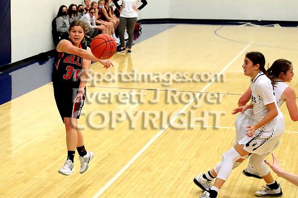 TMP-Marian  vs Ellis Girls Basketball
