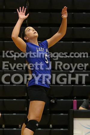 Otis-Bison defeated Beloit St. John's-Tipton in a semifinal game at the KSHSAA Class 1AD2 Volleyball State Championship on Saturday, October 28, 2017.  (Photo: Everett Royer, www.ksportsimages.com)