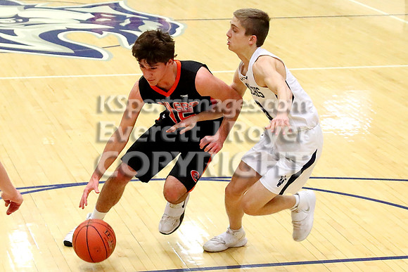 TMP-Marian  vs Ellis Boys Basketball