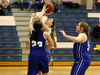 Thunder Ridge Longhorns vs. St. Johns Beloit-Tipton Blujays Girls Basketball - NPL Tourney Finals