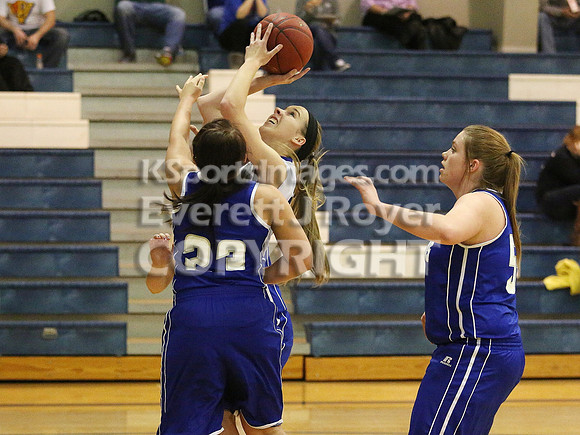 Thunder Ridge Longhorns vs. St. Johns Beloit-Tipton Blujays Girls Basketball - NPL Tourney Finals