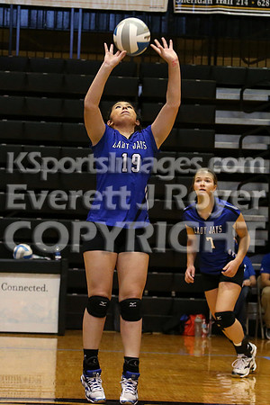 Otis-Bison defeated Beloit St. John's-Tipton in a semifinal game at the KSHSAA Class 1AD2 Volleyball State Championship on Saturday, October 28, 2017.  (Photo: Everett Royer, www.ksportsimages.com)