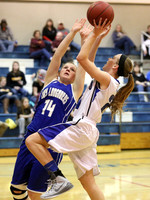 Thunder Ridge Longhorns vs. St. Johns Beloit-Tipton Blujays Girls Basketball - NPL Tourney Finals