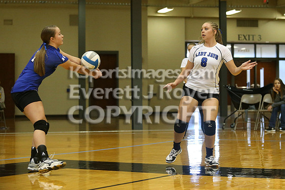 Otis-Bison defeated Beloit St. John's-Tipton in a semifinal game at the KSHSAA Class 1AD2 Volleyball State Championship on Saturday, October 28, 2017.  (Photo: Everett Royer, www.ksportsimages.com)