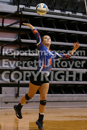Otis-Bison defeated Beloit St. John's-Tipton in a semifinal game at the KSHSAA Class 1AD2 Volleyball State Championship on Saturday, October 28, 2017.  (Photo: Everett Royer, www.ksportsimages.com)