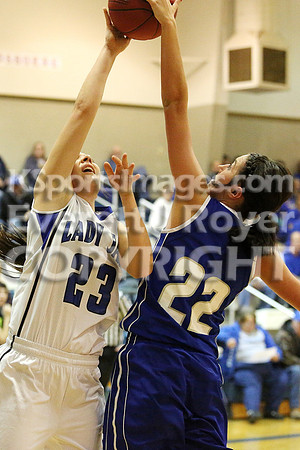 Thunder Ridge Longhorns vs. St. Johns Beloit-Tipton Blujays Girls Basketball - NPL Tourney Finals
