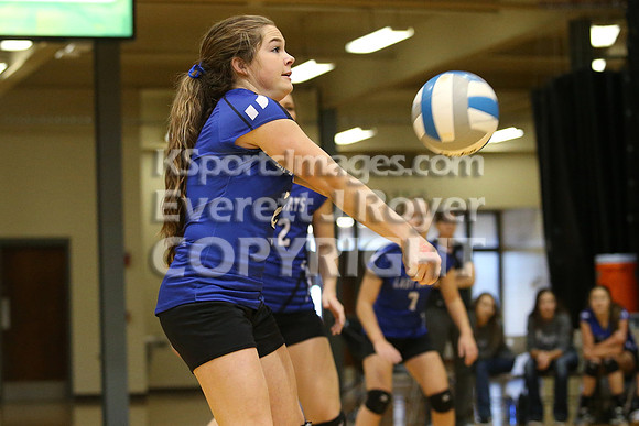 Otis-Bison defeated Beloit St. John's-Tipton in a semifinal game at the KSHSAA Class 1AD2 Volleyball State Championship on Saturday, October 28, 2017.  (Photo: Everett Royer, www.ksportsimages.com)
