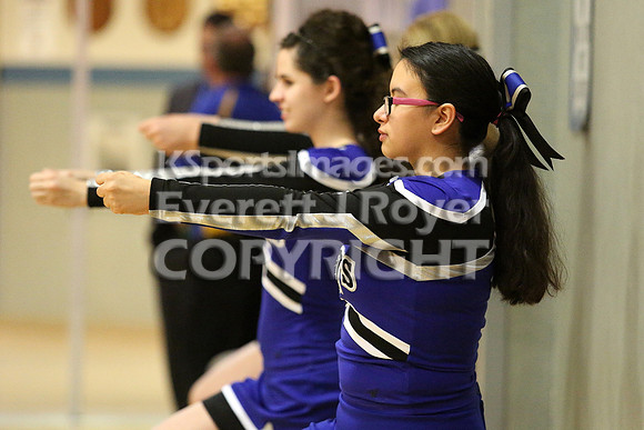 Thunder Ridge Longhorns vs. St. Johns Beloit-Tipton Blujays Girls Basketball - NPL Tourney Finals