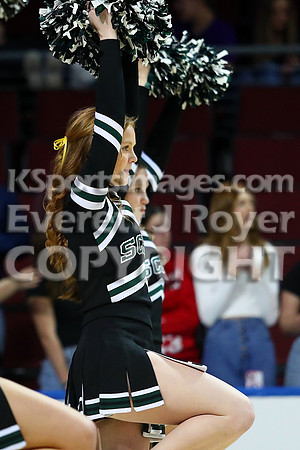 South Central vs South Gray, SPIAA Basketball Tournament,  Dodge City