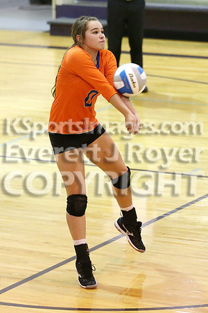Otis-Bison defeated Sylvan-Lucas 25-17, 17-25, 25-19 at the 1A D2 Wilson Substate to move on to the 2016 Kansas State Volleyball Tournament.