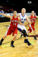 #2 Beloit-St. Johns/Tipton v #7 Wetmore - Girls First Round Game