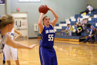 Thunder Ridge Longhorns vs. St. Johns Beloit-Tipton Blujays Girls Basketball - NPL Tourney Finals