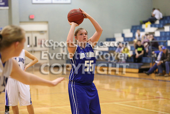 Thunder Ridge Longhorns vs. St. Johns Beloit-Tipton Blujays Girls Basketball - NPL Tourney Finals